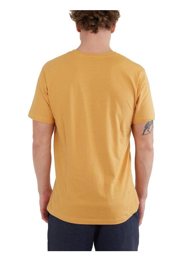FUNDANGO - T-shirt męski Fundango Basic - T Logo-4 krótki rękaw. Kolor: żółty. Materiał: bawełna, materiał. Długość rękawa: krótki rękaw. Długość: krótkie
