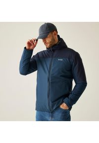 Regatta - Kurtka męska zimowa ocieplana Thornridge. Kolor: niebieski, wielokolorowy, zielony. Materiał: tkanina, puch. Sezon: zima. Sport: turystyka piesza #1