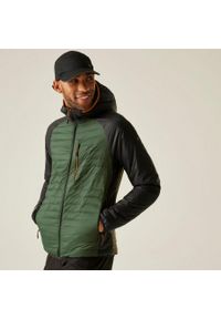 Regatta - Kurtka męska przejściowa Rowak. Kolor: zielony. Materiał: tkanina, puch, syntetyk. Sport: turystyka piesza #1