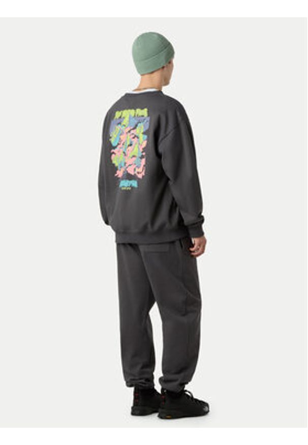 The North Face Bluza Expedition Celebration NF0A8E3G Szary Relaxed Fit. Kolor: szary. Materiał: bawełna