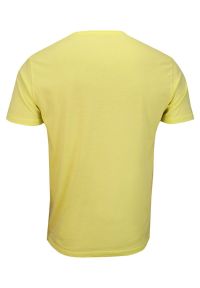 Żółty T-shirt Męski, Krótki Rękaw -Just Yuppi- Koszulka, z Nadrukiem, Koszulka w Napisy, Kanarkowa. Okazja: na co dzień. Kolor: złoty, wielokolorowy, żółty. Materiał: bawełna. Długość rękawa: krótki rękaw. Długość: krótkie. Wzór: nadruk. Styl: casual #2