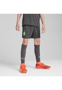 Puma - Młodzieżowe szorty AC Milan 24/25 PUMA Shadow Gray Fresh Mint Green. Kolor: szary, zielony, wielokolorowy. Sport: piłka nożna