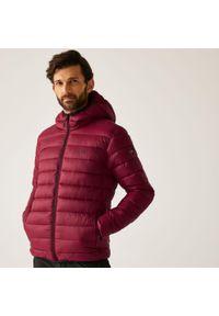 Regatta - Marizion Męska wodoodporna aktywna kurtka z kapturem z przegrodami. Typ kołnierza: kaptur. Kolor: czerwony, brązowy, wielokolorowy. Materiał: puch. Sport: turystyka piesza #1