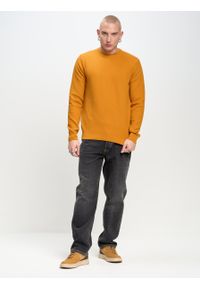 Big-Star - Sweter męski o teksturowym splocie pomaraŅczowy Reyli 703. Kolor: pomarańczowy. Materiał: bawełna. Wzór: ze splotem. Styl: klasyczny