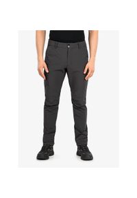 Spodnie turystyczne męskie Helly Hansen Brono Softshell Pant. Kolor: szary. Materiał: softshell