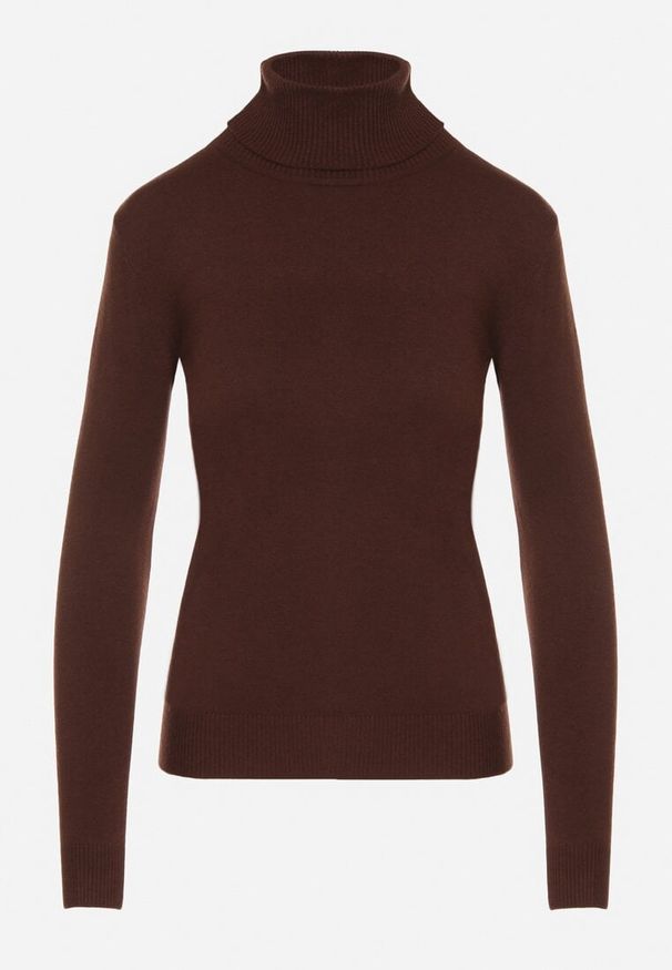 Born2be - Brązowy Golf z Bawełną o Prostym Kroju Mevoresa. Okazja: na co dzień. Typ kołnierza: golf. Kolor: brązowy. Materiał: bawełna. Styl: casual, klasyczny, elegancki