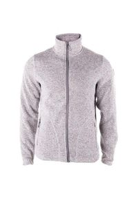 Weather Report - Bluza męska Richard Fleece jasnoszara. Kolor: szary #1