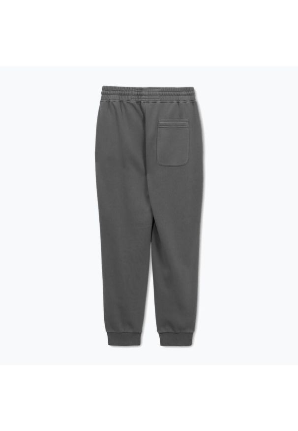 PITBULL - Spodnie męskie Pitbull Lancaster 2 Track Pants. Kolor: szary