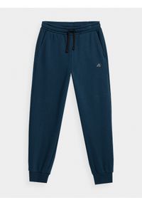 4F JUNIOR - Spodnie dresowe joggery chłopięce. Okazja: na co dzień. Kolor: niebieski. Materiał: dresówka. Styl: casual