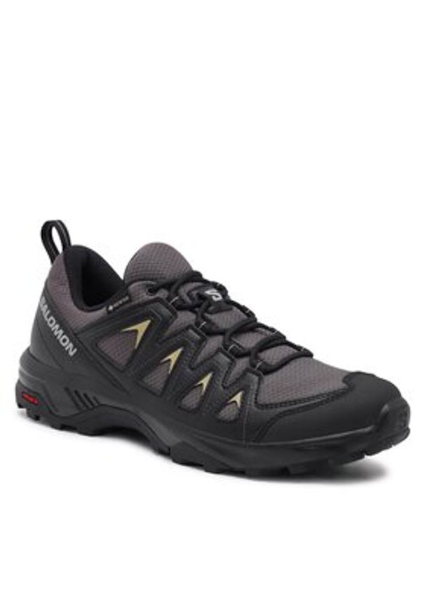 salomon - Salomon Trekkingi X Braze GORE-TEX L47180500 Szary. Kolor: szary. Materiał: syntetyk. Technologia: Gore-Tex. Sport: turystyka piesza