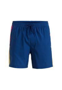 Szorty kąpielowe męskie Quiksilver Everyday Holmes Volley 16". Kolor: niebieski