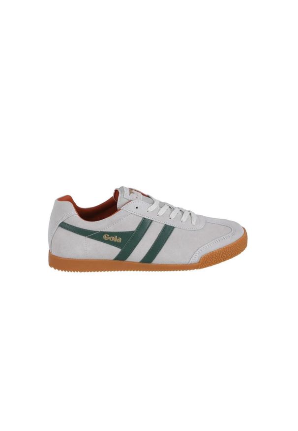 Buty do chodzenia męskie Gola Harrier. Kolor: szary. Materiał: zamsz. Szerokość cholewki: normalna. Sport: turystyka piesza