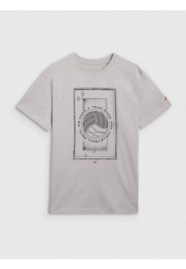 4f - 4F T-shirt regular z nadrukiem męski - szary XXL. Okazja: na co dzień. Kolor: szary. Materiał: bawełna, jersey, materiał. Długość rękawa: krótki rękaw. Długość: krótkie. Wzór: nadruk. Styl: sportowy, klasyczny, casual
