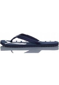 Klapki damskie Puma Epic Flip V2. Kolor: niebieski. Materiał: syntetyk, tkanina, materiał. Styl: sportowy