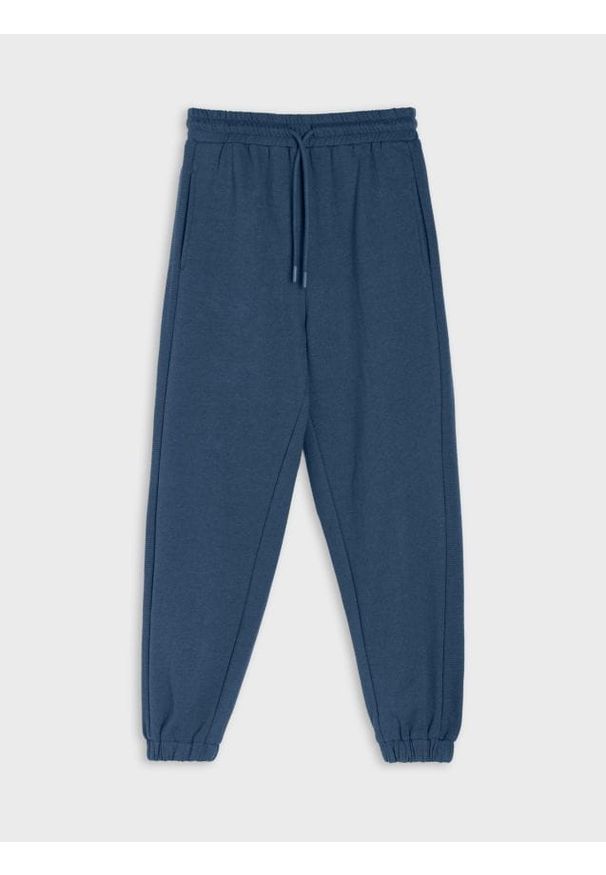 Sinsay - Spodnie dresowe jogger - granatowy. Kolor: niebieski. Materiał: dresówka