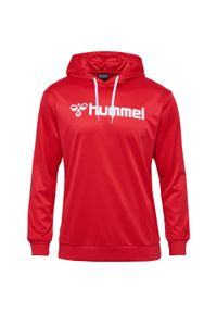 Bluza z kapturem Hummel Logo. Typ kołnierza: kaptur. Kolor: wielokolorowy, czerwony, różowy. Sport: fitness #1