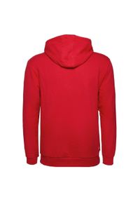 Bluza sportowa męska Fila Laban Hoody M. Typ kołnierza: kaptur. Kolor: czerwony. Styl: sportowy #2