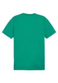 Koszulka Puma Team Goal. Kolor: zielony. Materiał: materiał