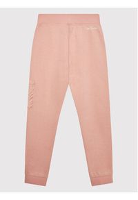 columbia - Columbia Spodnie dresowe Trek™ 1989811 Różowy Regular Fit. Kolor: różowy. Materiał: syntetyk #3