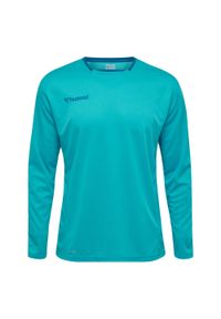 Koszulka do piłki ręcznej dla dzieci Hummel hml AUTHENTIC HML. Kolor: zielony, fioletowy, wielokolorowy. Materiał: jersey, poliester. Długość rękawa: długi rękaw. Długość: długie. Sport: piłka ręczna, fitness #1