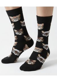 His Story - Tematyczne Skarpetki Bawełniane - Koty w Okularach. Materiał: elastan, bawełna, poliamid #3