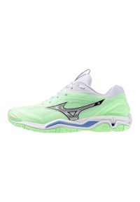 Buty do piłki ręcznej męskie Mizuno Wave Stealth 6. Kolor: wielokolorowy, biały, zielony. Model: Mizuno Wave. Sport: piłka ręczna #1