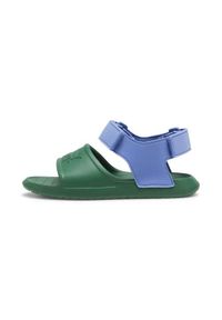 Buty do chodzenia dla dzieci Puma Divecat V2 Injex. Kolor: zielony. Materiał: materiał, syntetyk