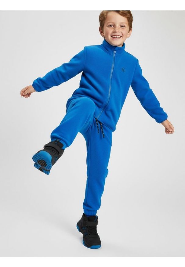 Sinsay - Polarowe spodnie sportowe Active - niebieski. Kolor: niebieski. Materiał: polar. Styl: sportowy