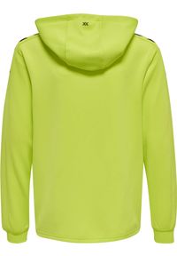 Bluza dziecięca z kapturem Hummel hmlCORE XK. Typ kołnierza: kaptur. Kolor: zielony, wielokolorowy, żółty. Sport: fitness