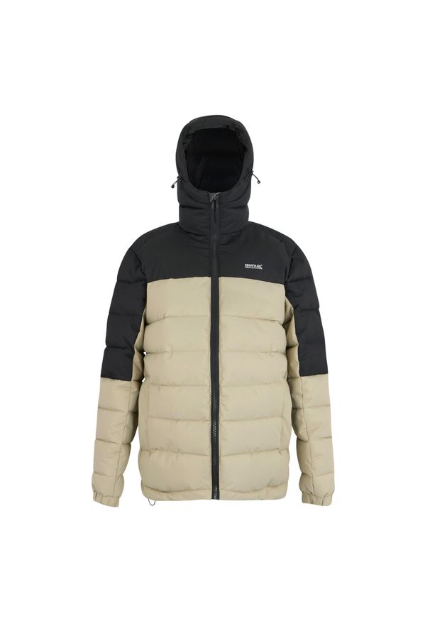 Regatta - Męska Ocieplana Kurtka Aldthorn. Kolor: szary, fioletowy, wielokolorowy. Materiał: puch. Sport: turystyka piesza