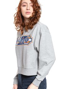 Wrangler - WRANGLER GEO HOODIE DAMSKA BLUZA Z KAPTUREM MID GREY MEL W6N3HPX37. Typ kołnierza: kaptur #7