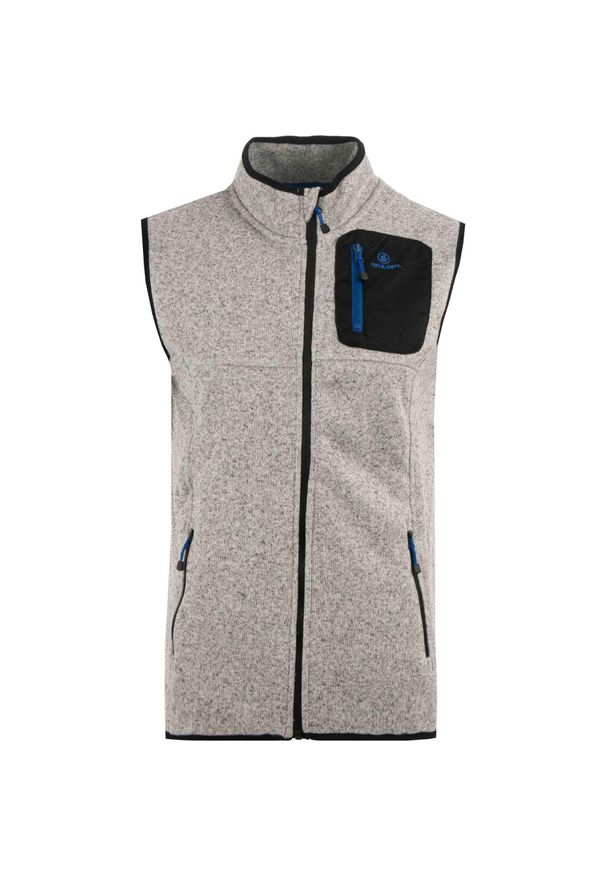 SOCCER VISION VEST - Męska kamizelka sportowa Athl. DPT. Zeno, 100% poliester, jasnoszara.. Kolor: szary, czarny, wielokolorowy. Materiał: poliester. Sezon: wiosna. Styl: sportowy