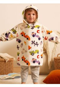 Sinsay - Bluza snuddie - wielobarwny #1