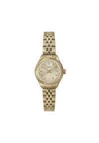Zegarek Timex. Kolor: złoty