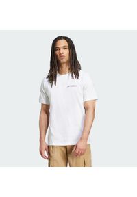 Adidas - Koszulka Terrex Graphic. Kolor: szary, wielokolorowy, biały. Materiał: bawełna. Sport: outdoor, turystyka piesza #1