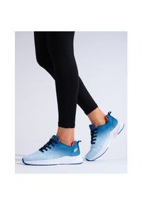 Lekkie buty sportowe DK niebieskie. Kolor: niebieski #5