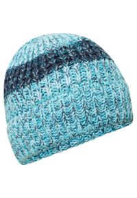 DARE 2B - Dziecięca Czapka Mindless. Kolor: turkusowy, niebieski, wielokolorowy. Sezon: zima. Styl: sportowy #1