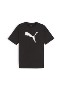 Koszulka męska Puma Team Rise Logo Jersey Cotton. Kolor: czarny, biały, wielokolorowy. Materiał: jersey. Sport: fitness, piłka nożna