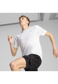 Puma - Męska koszulka do biegania VELOCITY PUMA White. Kolor: biały. Sport: bieganie