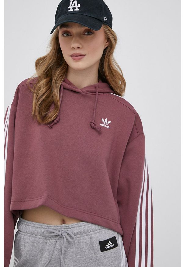 adidas Originals bluza damska kolor fioletowy z kapturem z aplikacją. Typ kołnierza: kaptur. Kolor: fioletowy. Materiał: materiał, poliester, bawełna, dzianina. Długość rękawa: długi rękaw. Długość: długie. Wzór: aplikacja