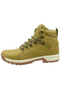 Buty do chodzenia męskie Kappa Dolomo. Kolor: wielokolorowy, beżowy, brązowy. Materiał: materiał, syntetyk, tkanina. Sezon: zima. Sport: turystyka piesza