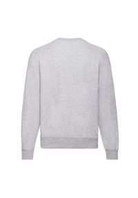 FRUIT OF THE LOOM - Bluza Unisex Adult Classic Plain Raglan. Kolor: szary. Długość rękawa: raglanowy rękaw