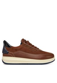 Sneakersy Ara. Kolor: brązowy