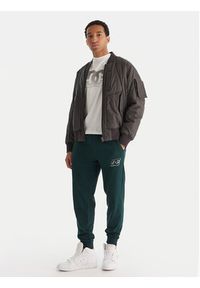 DC Shoes Spodnie dresowe ADYFB03072 GTP0 Zielony Regular Fit. Kolor: zielony. Materiał: bawełna