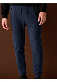 Sinsay - Spodnie dresowe jogger - granatowy. Kolor: niebieski. Materiał: dresówka #1