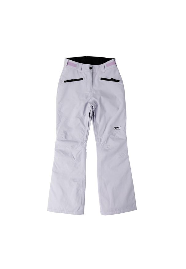 Spodnie narciarskie damskie Colourwear Cork. Kolor: fioletowy. Sezon: zima. Sport: narciarstwo