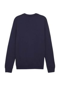 Bluza sportowa męska Puma B23616. Kolor: niebieski #2