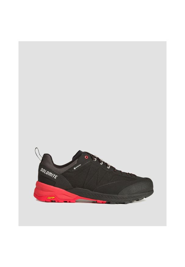 Buty trekkingowe męskie Dolomite Crodarossa Tech GTX. Kolor: czarny