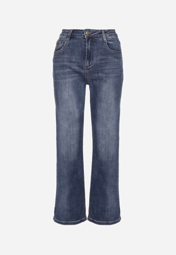 Renee - Niebieskie Proste Jeansy Regular Waist Fesalira. Okazja: na co dzień. Kolor: niebieski. Styl: casual, klasyczny
