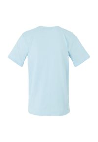 Regatta - T-shirt Męski Z Deską Surfingową Cline IX. Kolor: niebieski